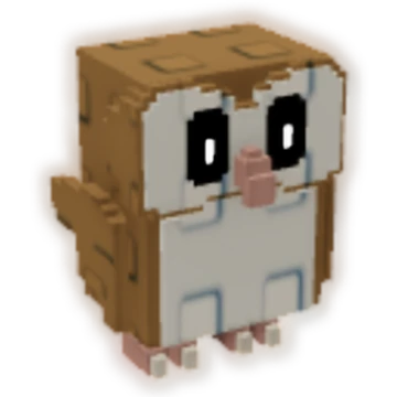 New Pet! | Barn Owl
