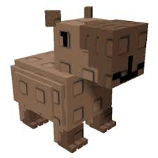 Age 50 Capybara