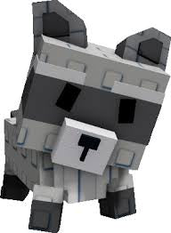 Raccoon