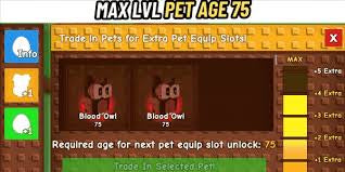 Age 75+ Pets (Random)