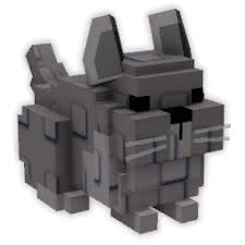 New Pet! | Chinchilla